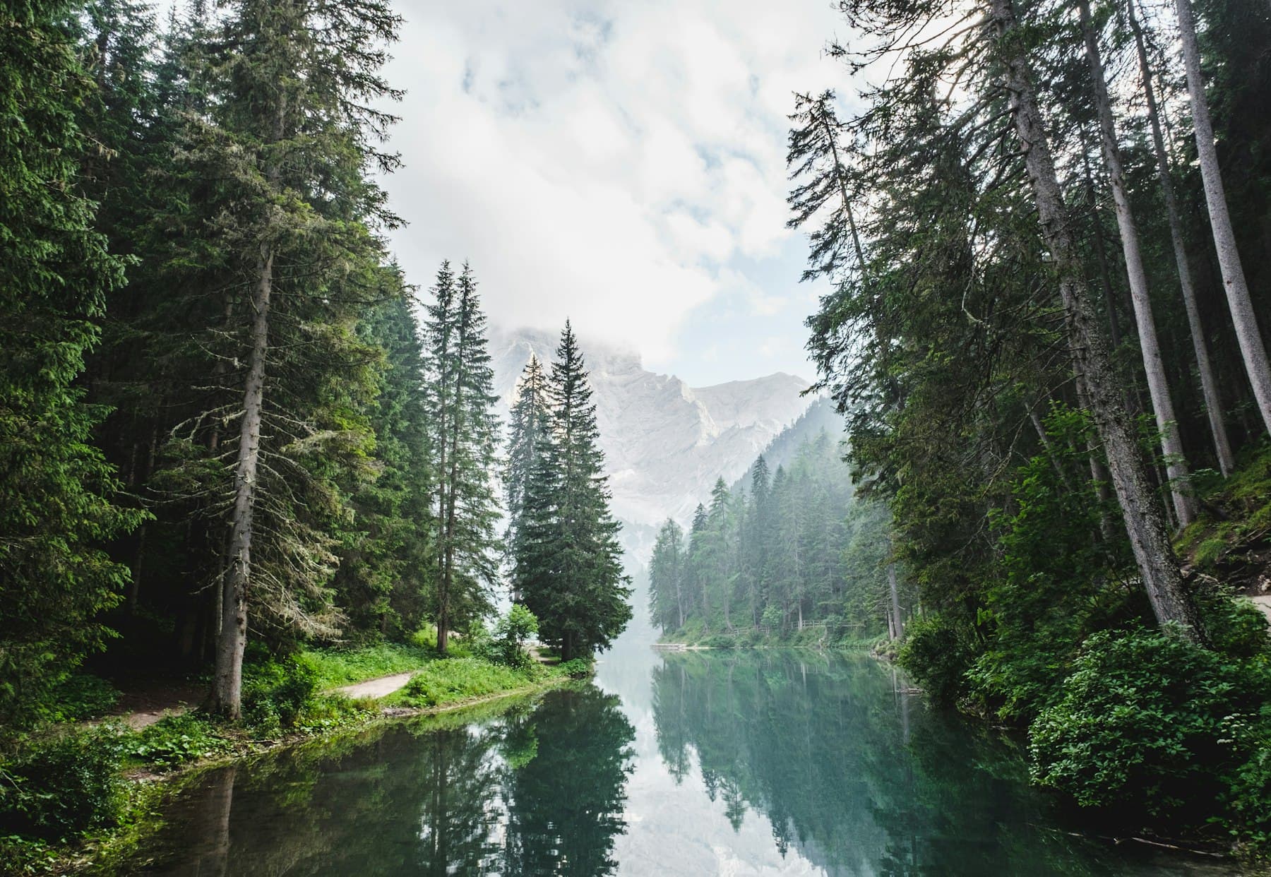 A still alpine lake framed by pines